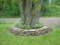 FLOWER GARDENING